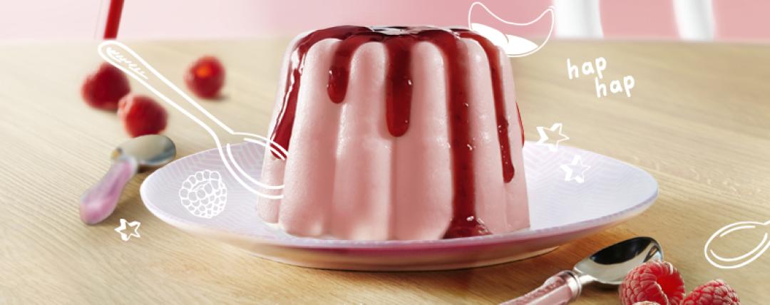 Banner Framboos pudding